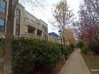 檀府最新房價(jià)真實(shí)爆料,真實(shí)爆料揭示豪宅市場新動(dòng)態(tài)”