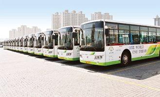 青島公交車爆料新聞最新消息,乘客安全事件引發(fā)社會關注