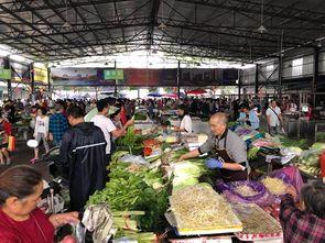 廣漢吃瓜最新事件爆料新聞,最新爆料揭示驚人內(nèi)幕