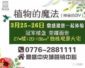 百色今日爆料信息查詢最新,揭秘今日熱點(diǎn)事件！”