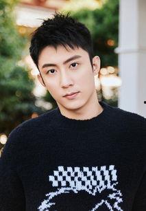 黃景瑜最新爆料新消息,揭秘演藝圈幕后真相