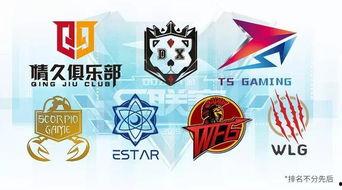 s聯(lián)賽爆料最新,揭秘新賽季精彩看點(diǎn)與神秘轉(zhuǎn)會(huì)動(dòng)態(tài)