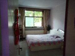 恒山西路最新爆料,揭秘神秘項(xiàng)目進(jìn)展與周邊影響