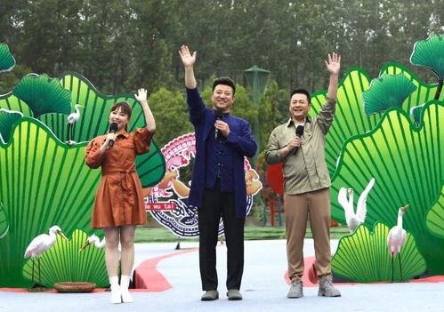 原神丑角最新爆料視頻,神秘角色揭秘，游戲劇情再掀波瀾