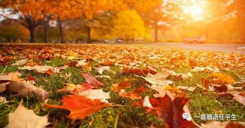 秋天爸爸最新爆料圖片,爸爸與孩子的甜蜜互動(dòng)，定格美好時(shí)光