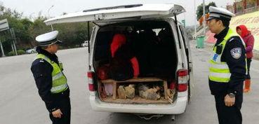 泉州面包車爆料視頻最新,揭秘城市生活背后不為人知的真相