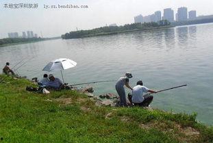 深圳釣魚最新爆料,揭秘?zé)衢T釣點與獨(dú)家技巧分享