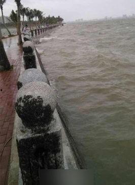 湛江赤坎最新新聞爆料,最新爆料揭示驚人真相