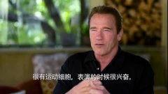 阿諾被爆料最新視頻播放,揭秘背后驚人真相！